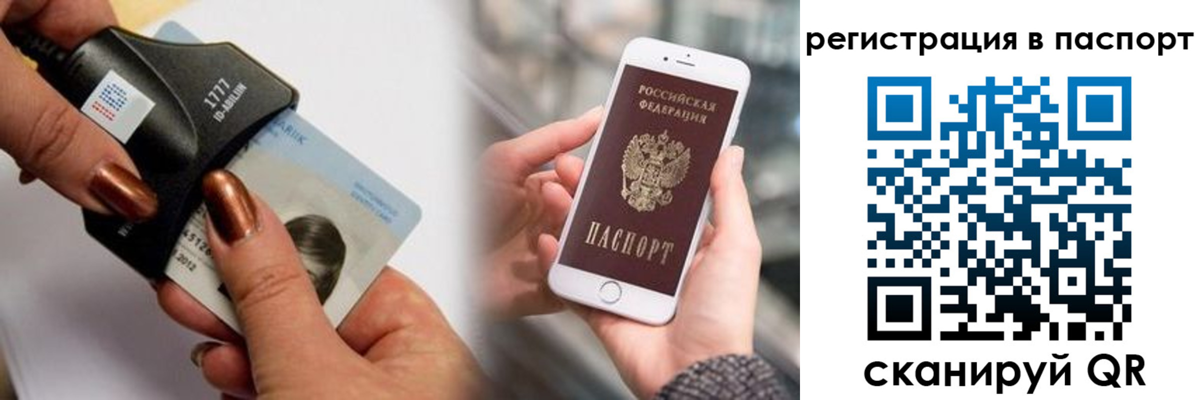 найти адрес прописки в Зернограде